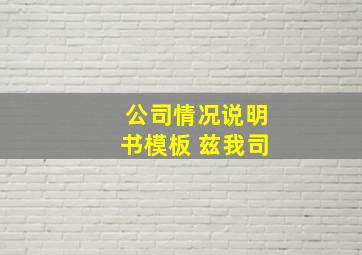 公司情况说明书模板 兹我司